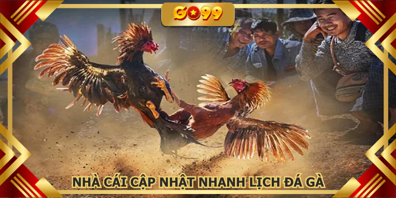 Nhà cái cập nhật nhanh lịch đá gà