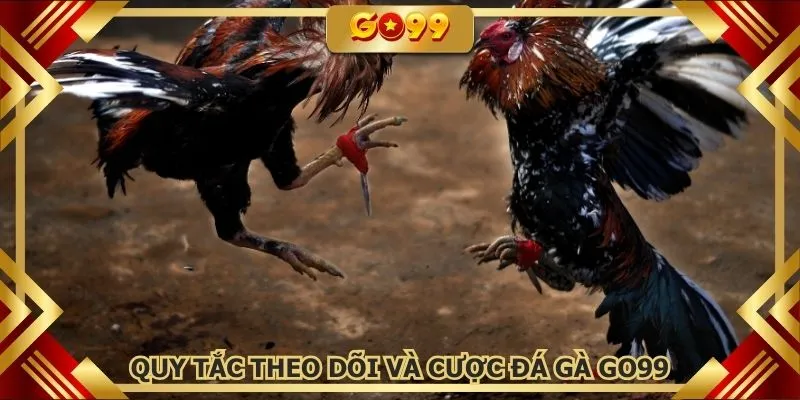 Quy tắc tham gia theo dõi và cược đấu kê online